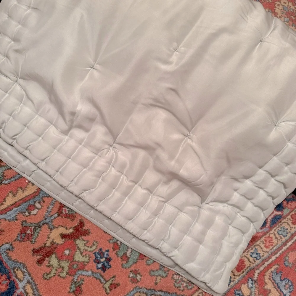 Pottery Barn | 100% Silk | Euro Size | 2/ Pillow Covers